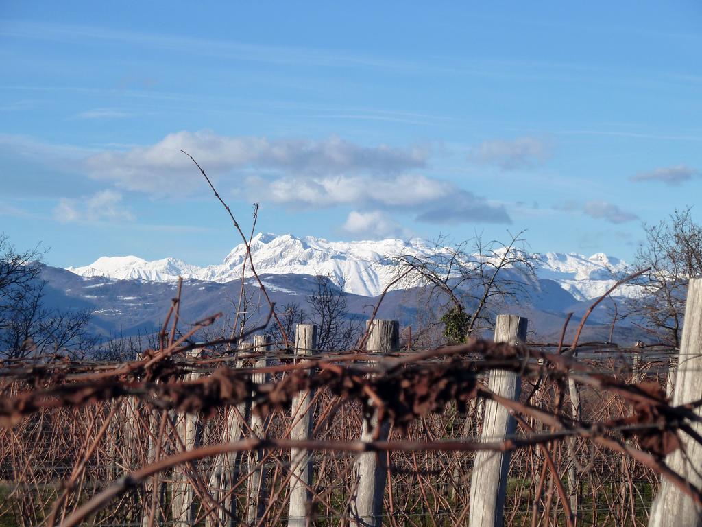 Tenuta Perusini Corno di Rosazzo Extérieur photo